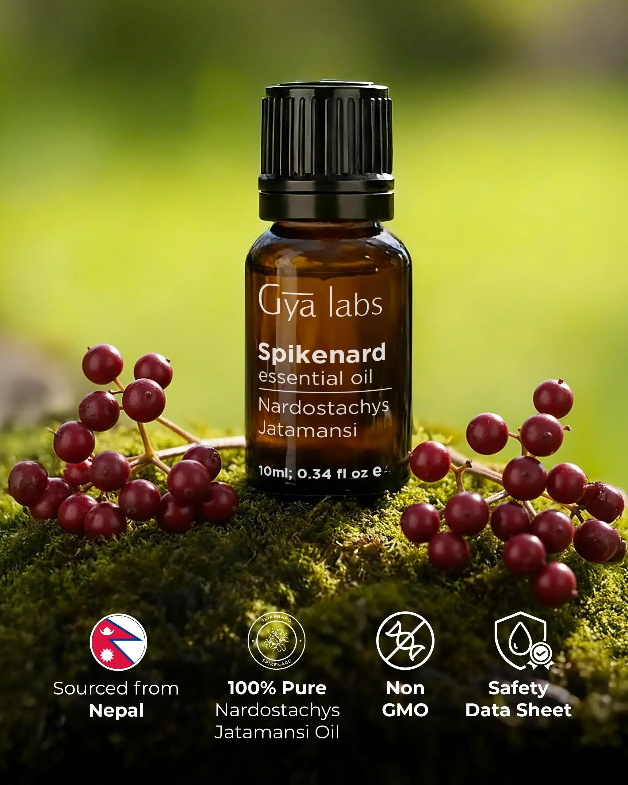 Spikenard Oil