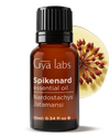 Spikenard Oil