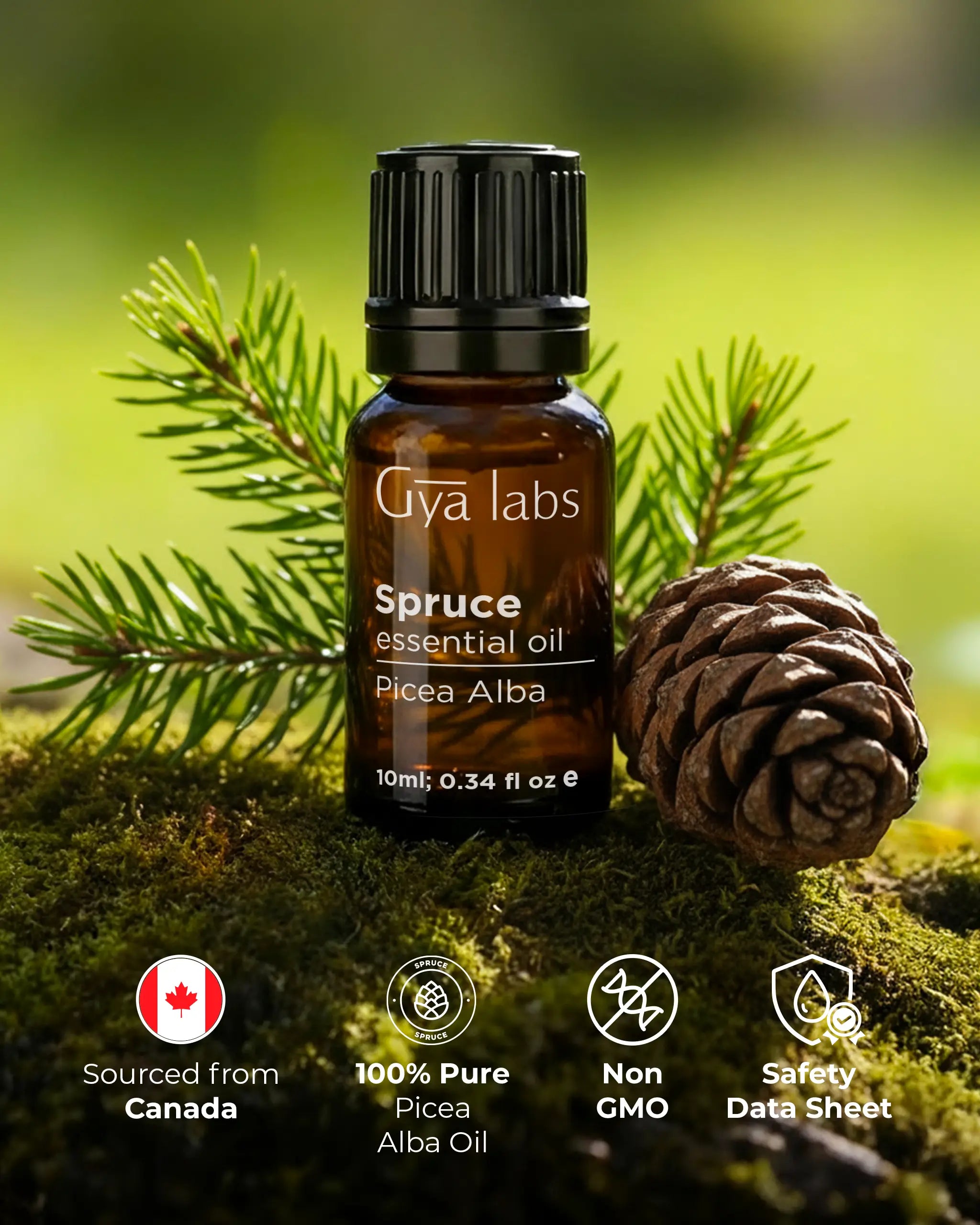 Spruce Oil