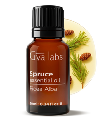 Spruce Oil