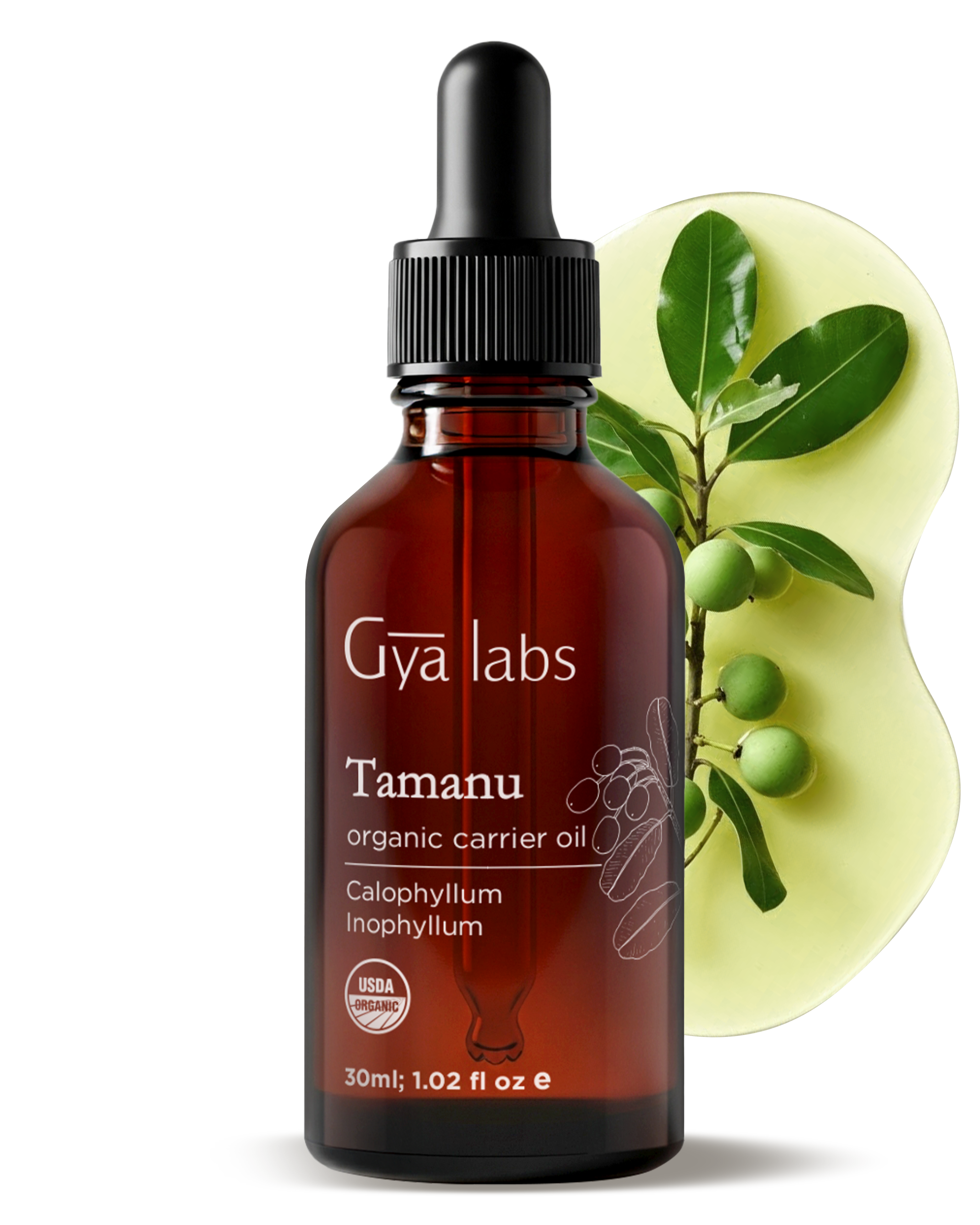 Tamanu Carrier Oil