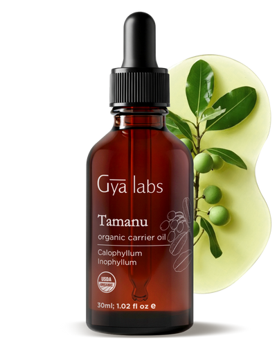 Organic Tamanu Oil