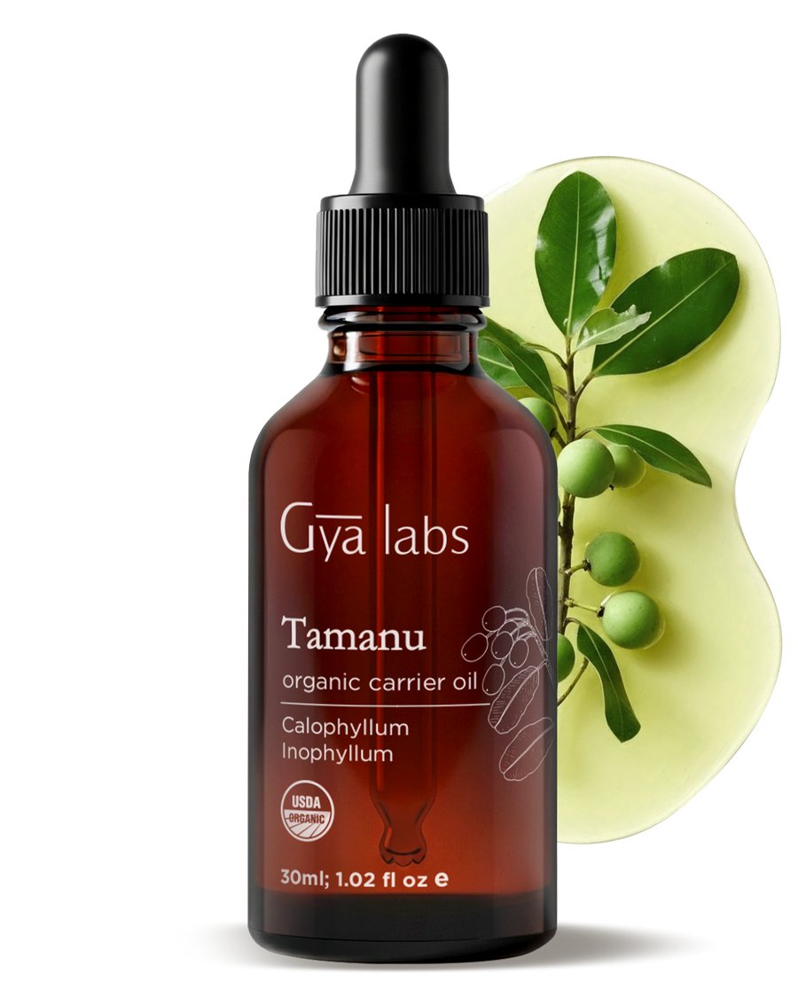 Tamanu Carrier Oil