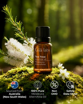 Tea Tree Essential Oil