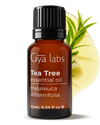 Tea Tree Oil
