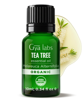 Organic Tea Tree Oil