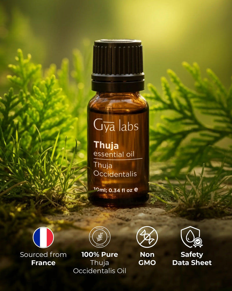 Thuja Oil