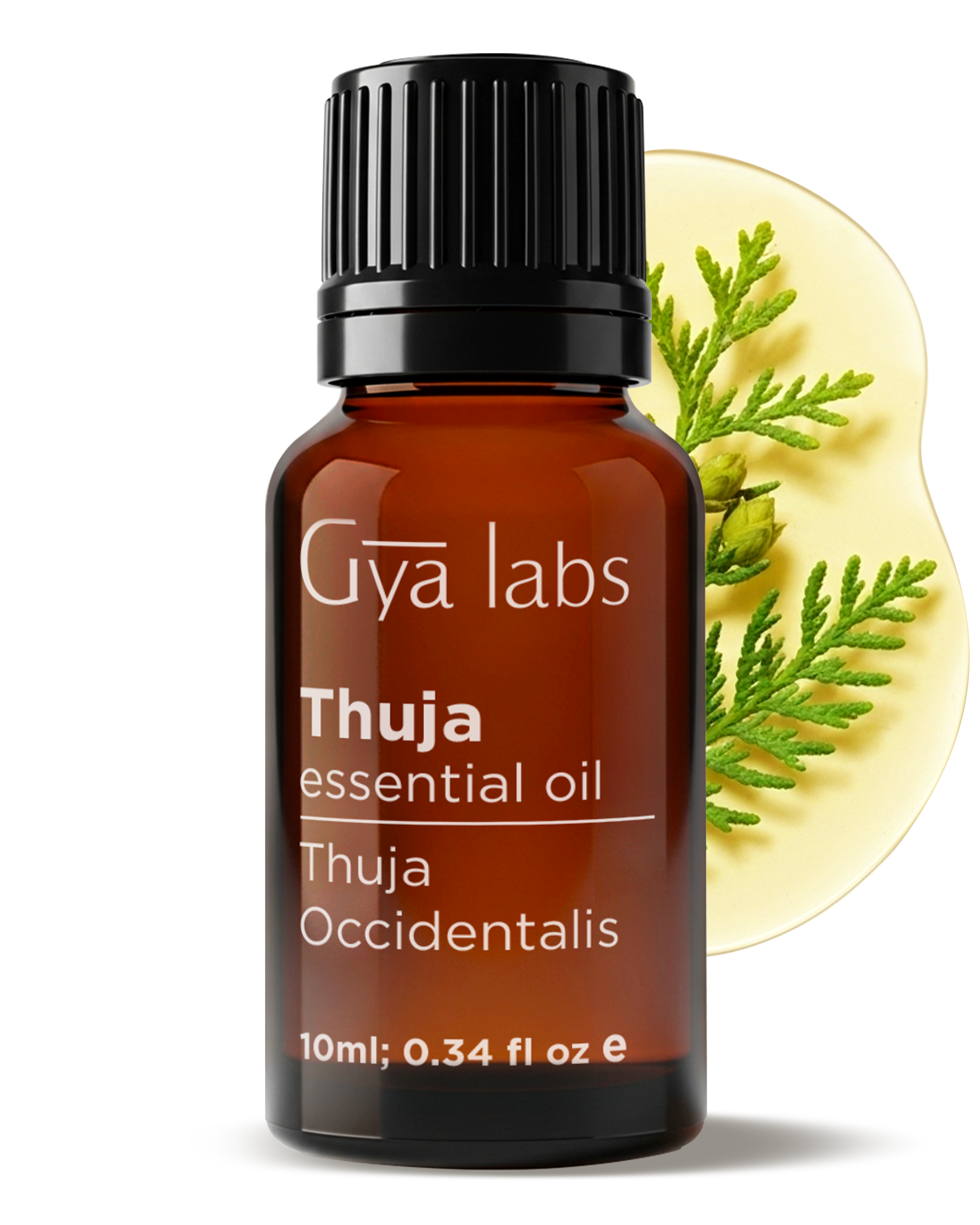 Thuja Essential Oil for Aromatherapy and Skin Care – Gya Labs