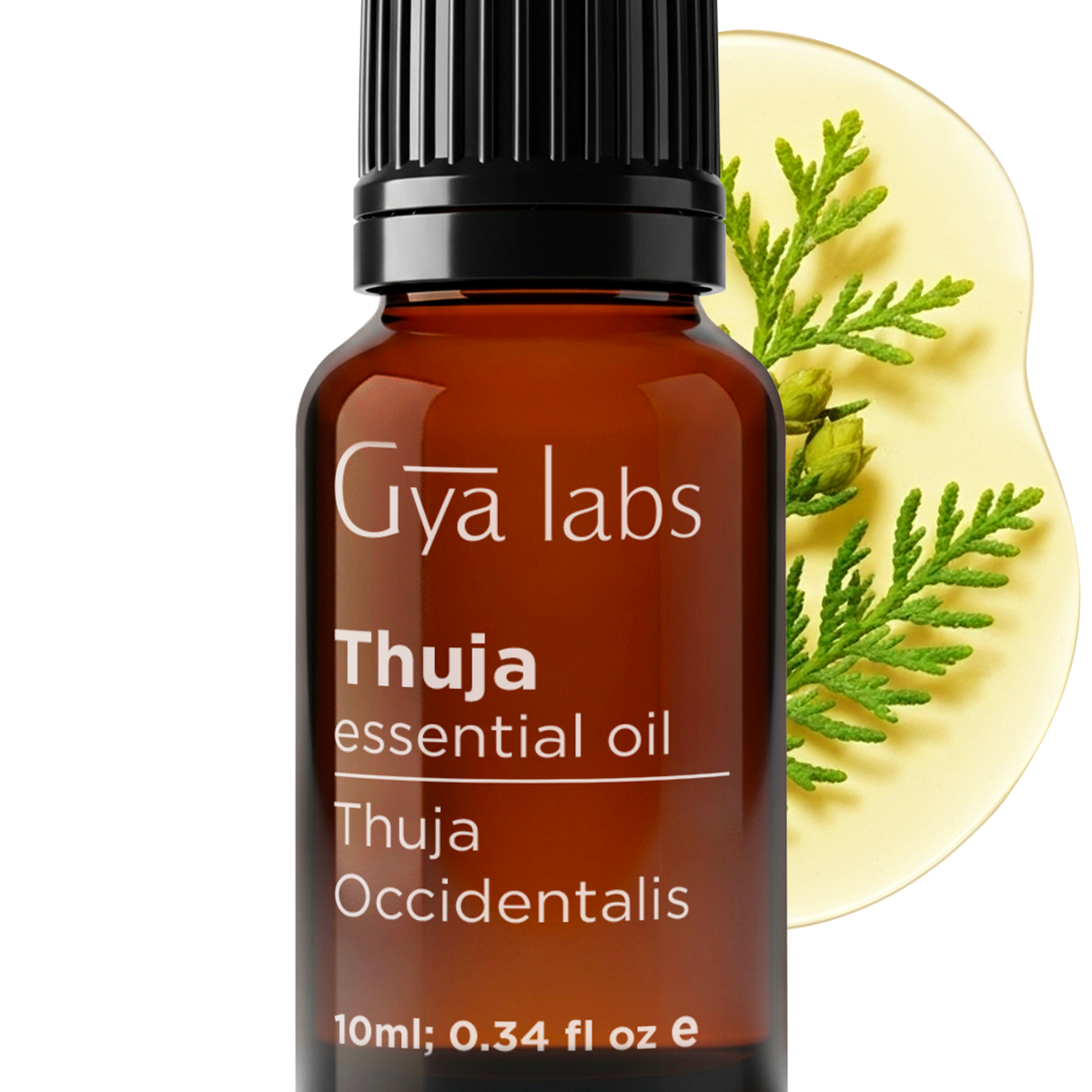 Thuja Essential Oil for Aromatherapy and Skin Care – Gya Labs