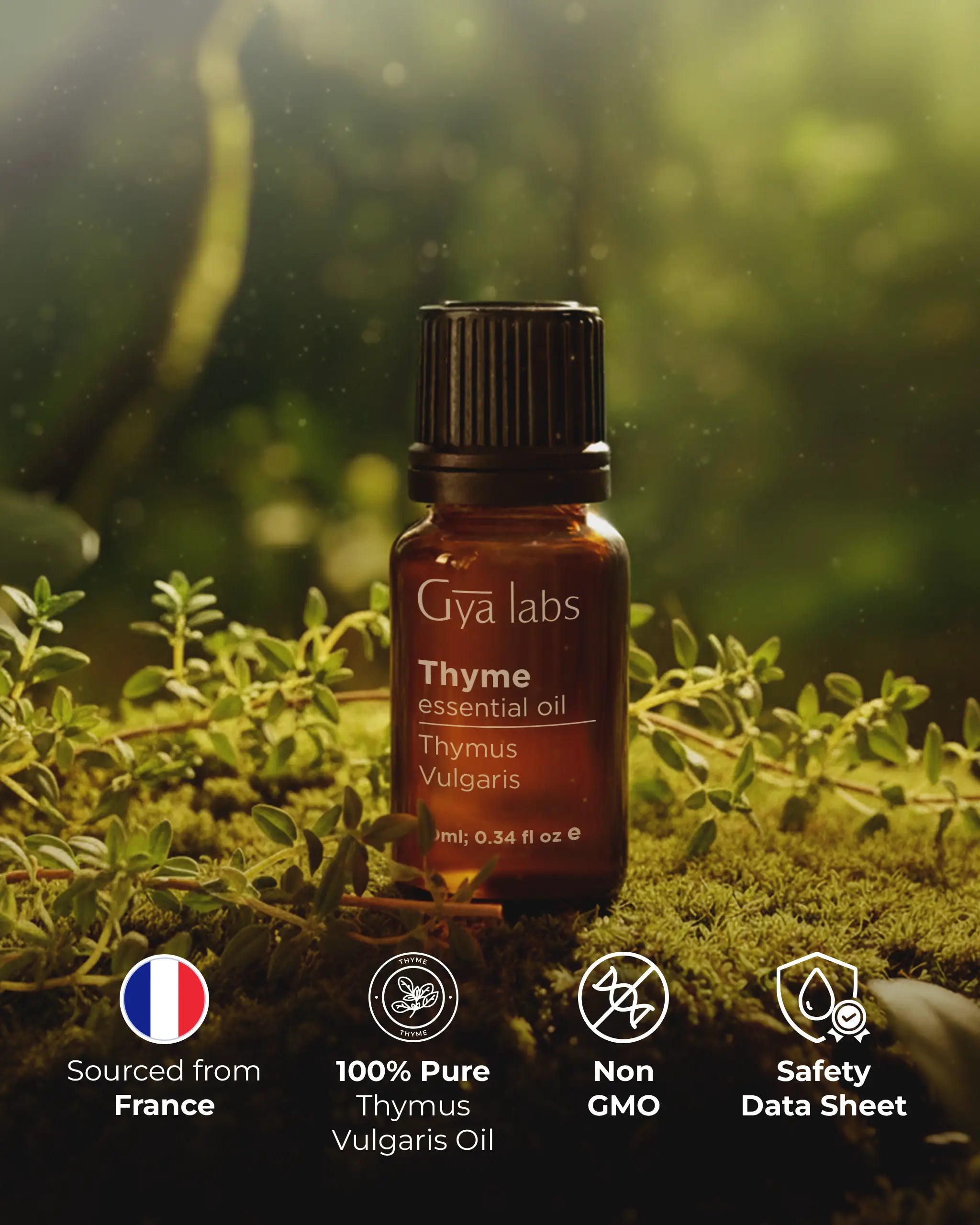 Thyme Oil
