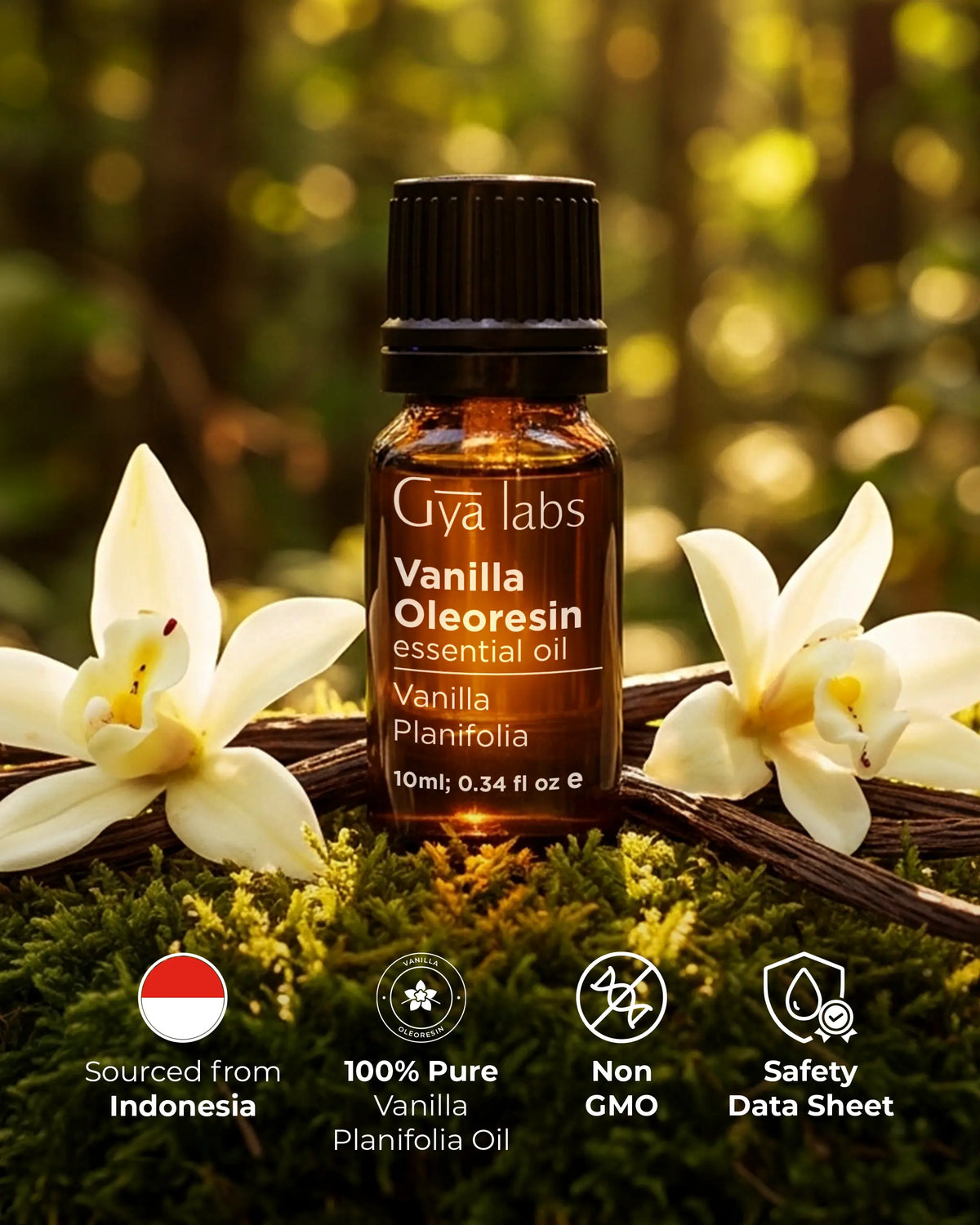 Vanilla Oil | GyaLabs