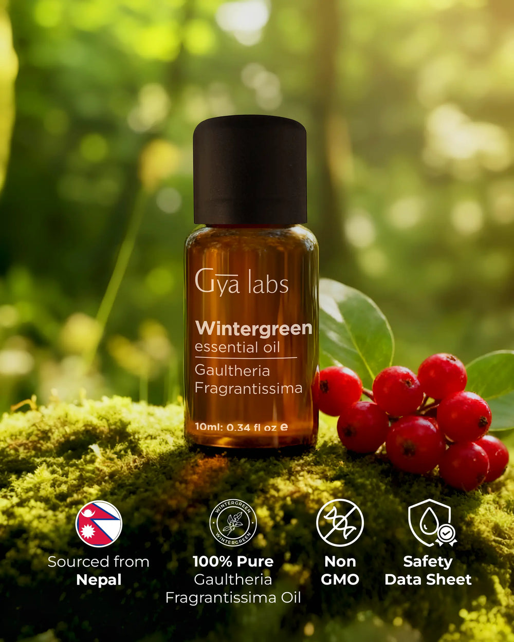 Wintergreen Oil