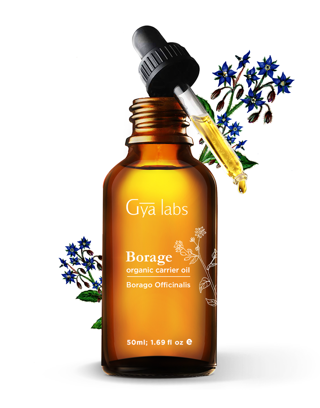Vivid Borage Oil For Hair Moment in HD Vivid Borage Oil For Hair Moment in HD