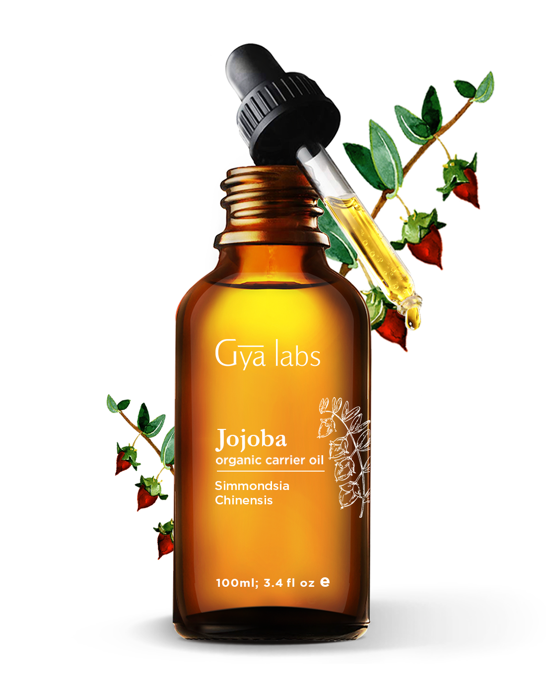 Gya Labs USDA Organic Prickly Pear Seed Oil (1 fl oz) for Dry Skin