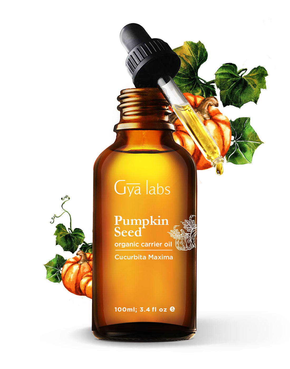 Cold Pressed Pumpkin Seed Carrier Oil for Hair and Skin, 200ml