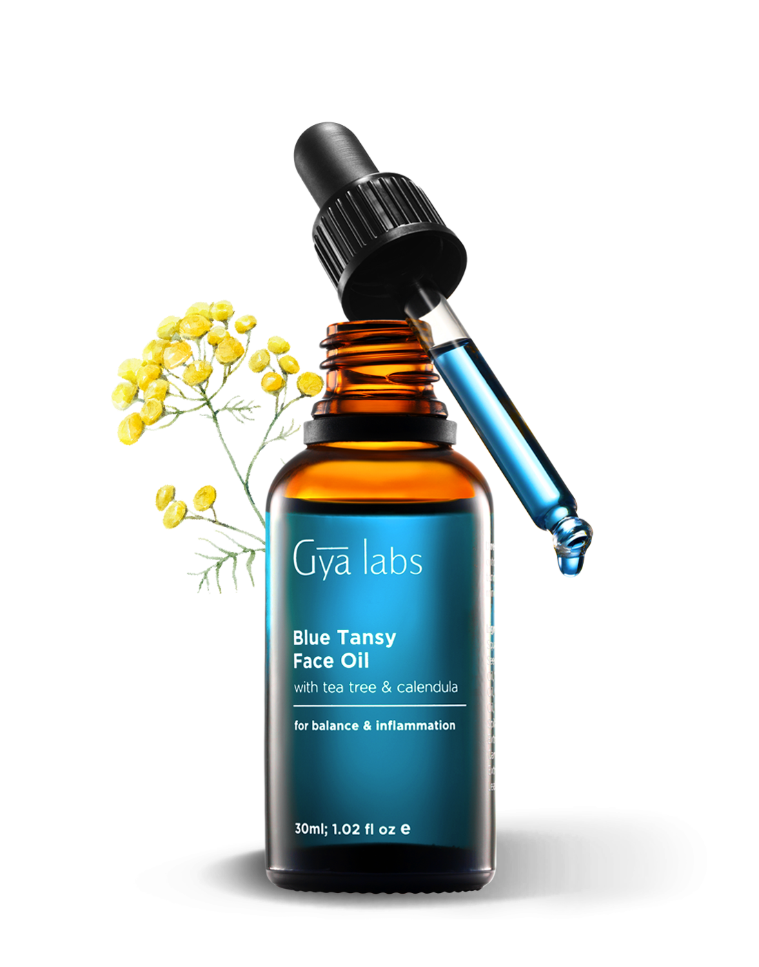 blue tansy face oil sensitive dry skin inflammation