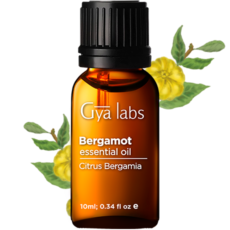 bergamot plant with bergamot oil bottle