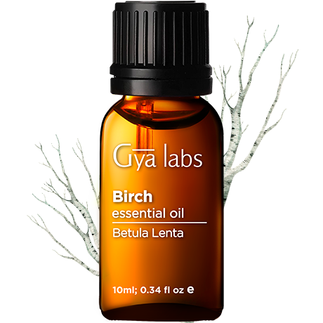 birch plant with birch oil bottle