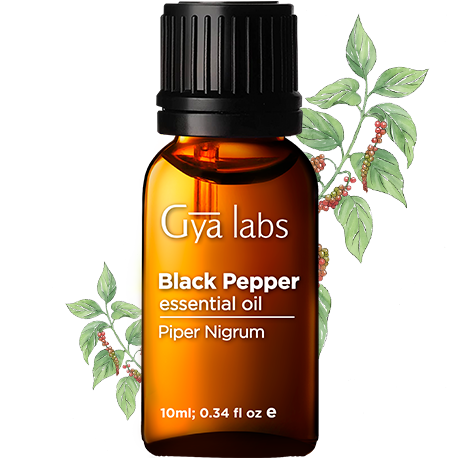 black pepper plant with black pepper oil bottle