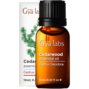 Livin' The Wood Life, Patchouli Cedar Vanilla Essential Oil Blend