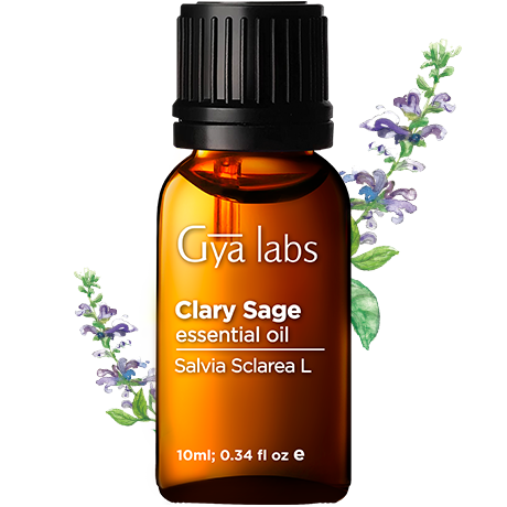 clary sage plant with clary sage oil bottle