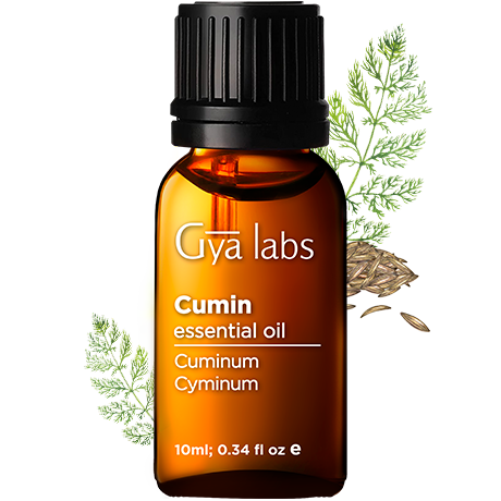 cumin plant with cumin oil bottle