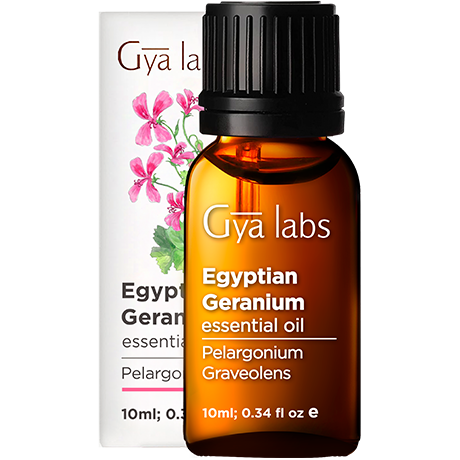 egyptian geranium essential oil sealed bottle with black cap outside white box