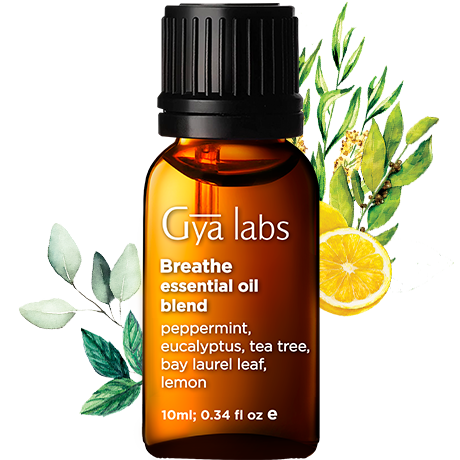 eucalyptus lemon tea tree peppermint bay laurel leaf plant with breathe blend essential oil bottle