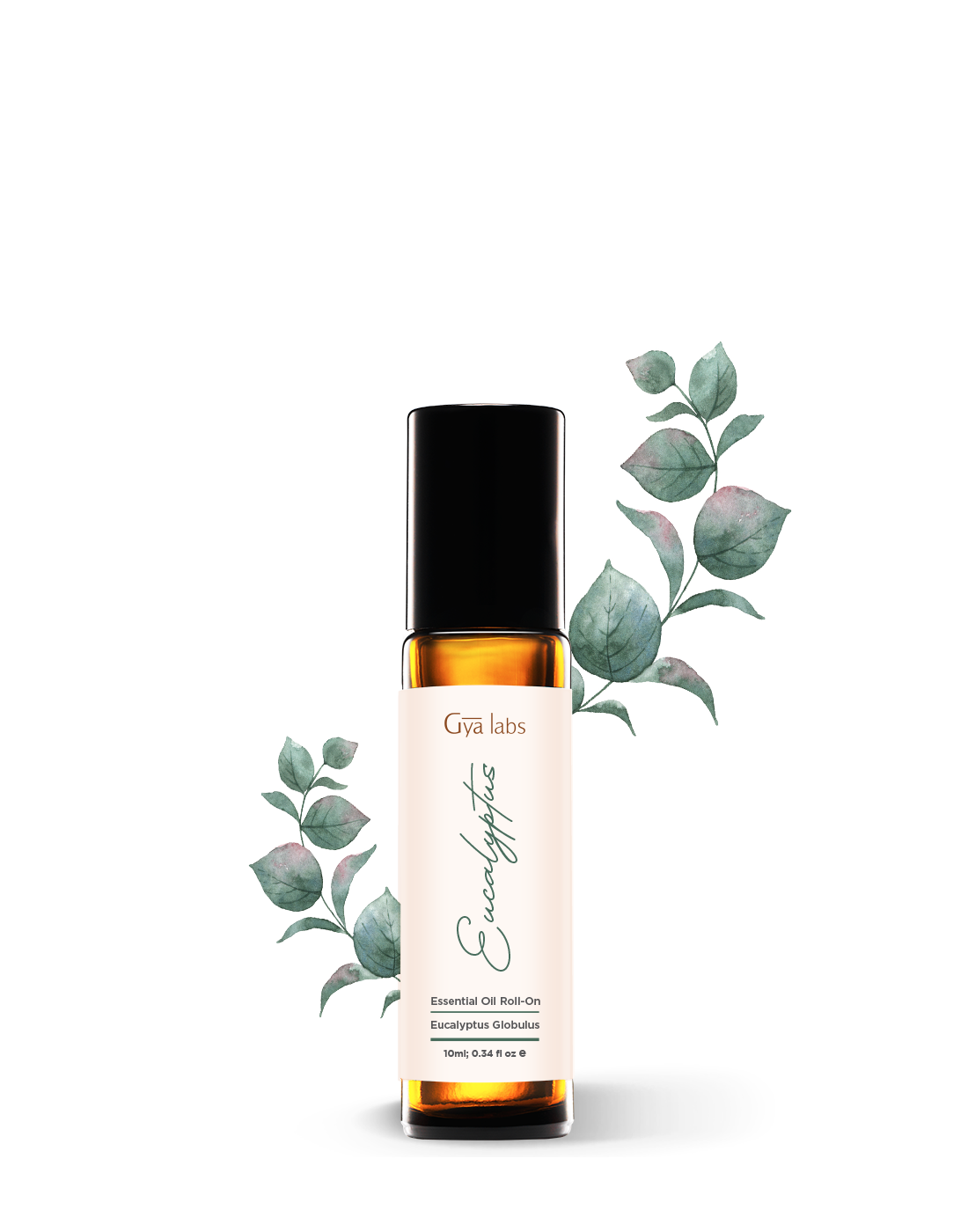 eucalyptus roll on essential oil with eucalyptus plant