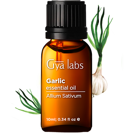 garlic plant with garlic oil bottle