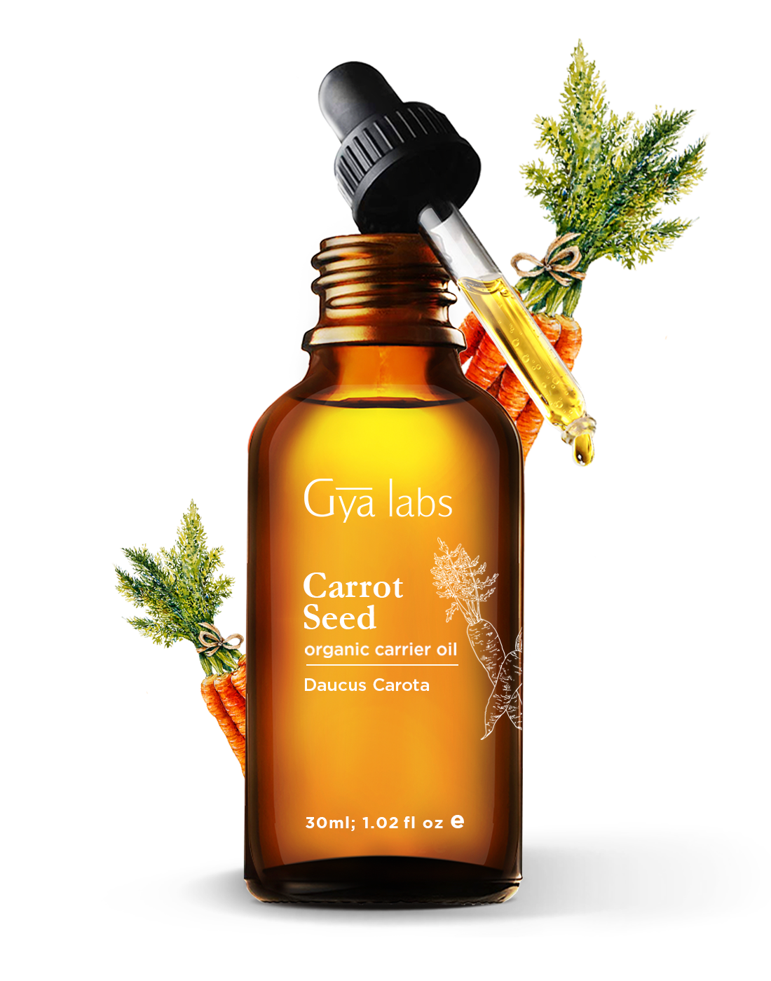 glass dropper filled with organic carrot seed carrier oil kept above bottle