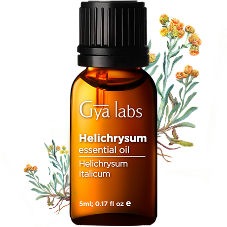 helichrysum plant with helichrysum oil bottle
