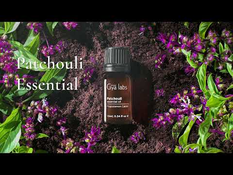 Premium Patchouli Essential Oil - High Quality – Healing Solutions
