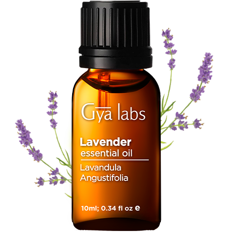 lavendar plant with lavendar oil bottle
