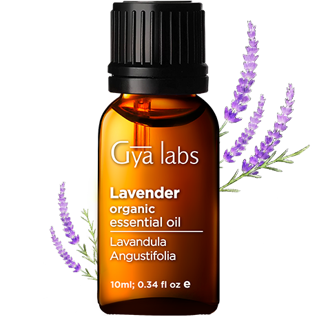 lavendar plant with organic lavendar oil bottle