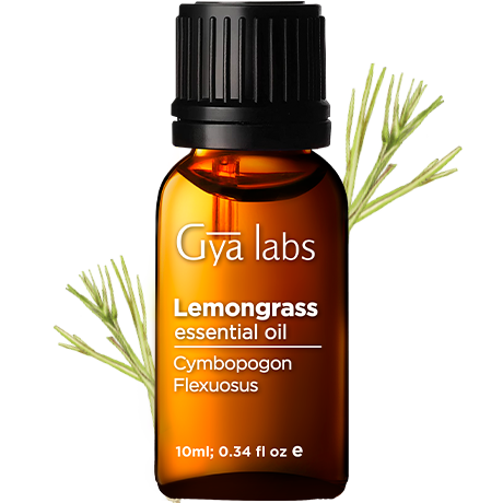 lemongrass plant with lemongrass oil bottle