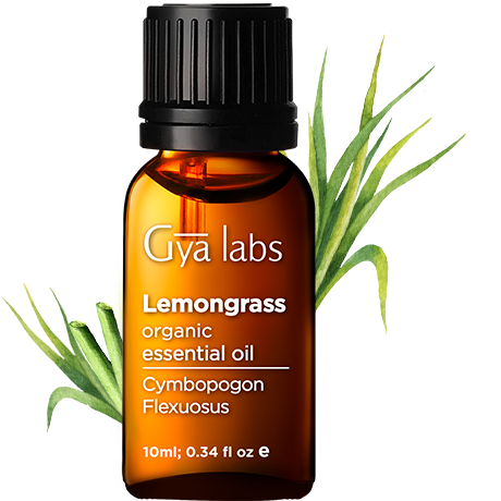 lemongrass plant with organic lemongrass oil bottle