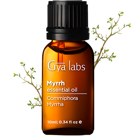 myrrh plant with myrrh oil bottle