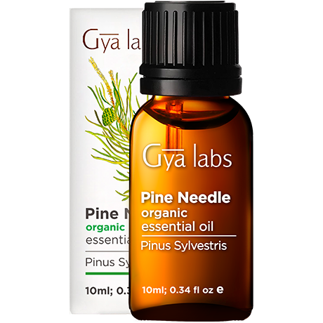 NOW Essential Oils, Pine Needle Oil, Purifying Aromatherapy Scent, Steam  Distilled, 100% Pure, Vegan, Child Resistant Cap, 1-Ounce