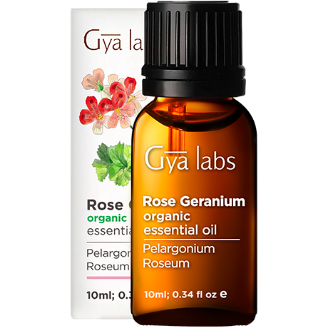 Geranium Rose Essential Oil 1 Liter (33.8 fl. oz.) | Amrita Aromatherapy