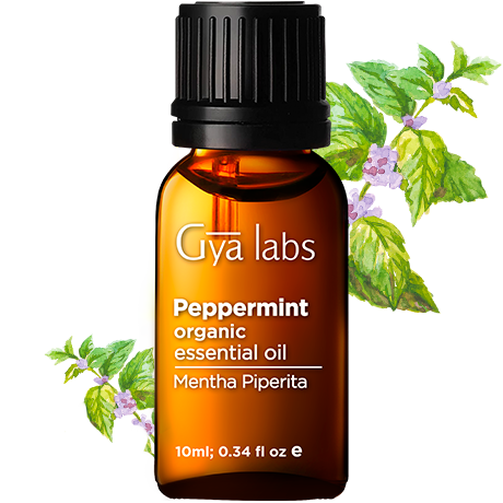 peppermint plant with organic peppermint oil bottle