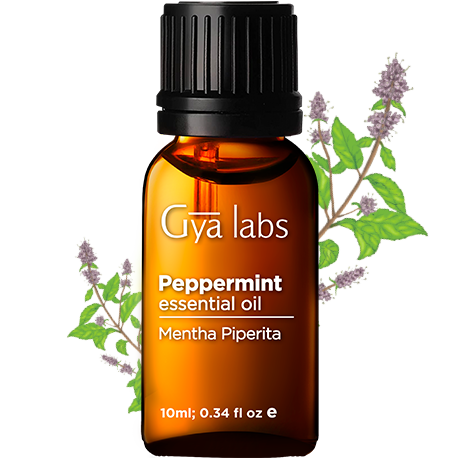 peppermint plant with peppermint oil bottle