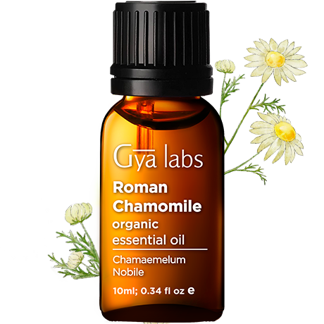 roman chamomile plant with organic roman chamomile oil bottle