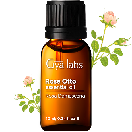 rose otto plant with rose otto oil bottle
