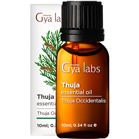 thuja essential oil sealed bottle with black cap outside white box