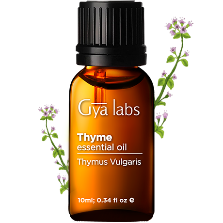 thyme plant with thyme oil bottle