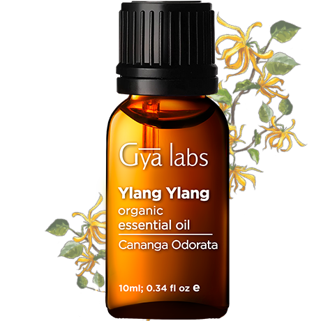 ylang ylang plant with organic ylang ylang oil bottle