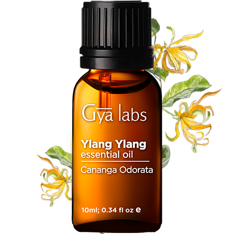 ylang ylang plant with ylang ylang oil bottle